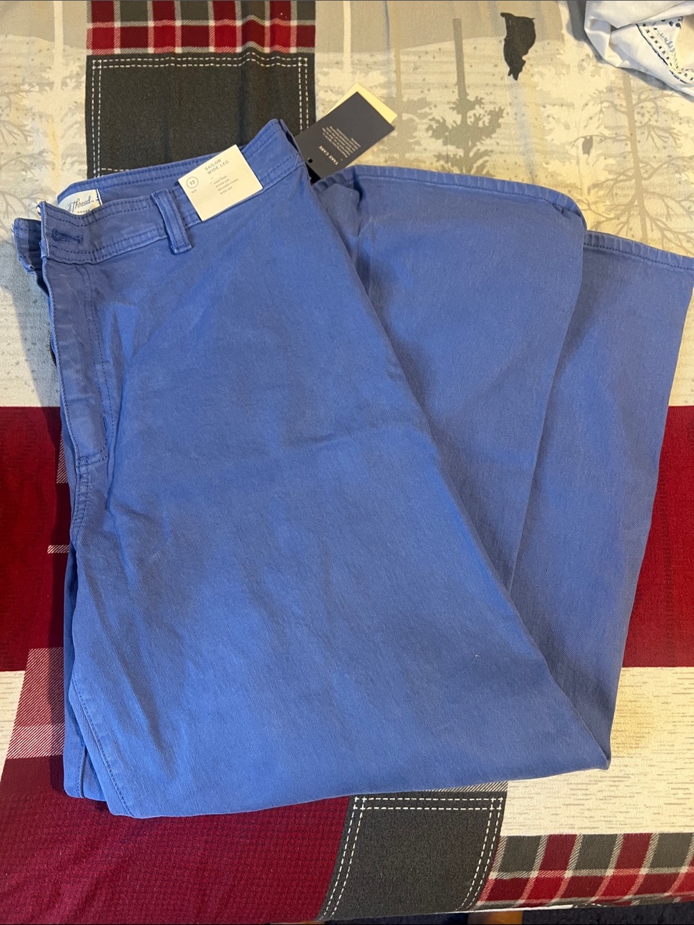 Blue Casual Pants